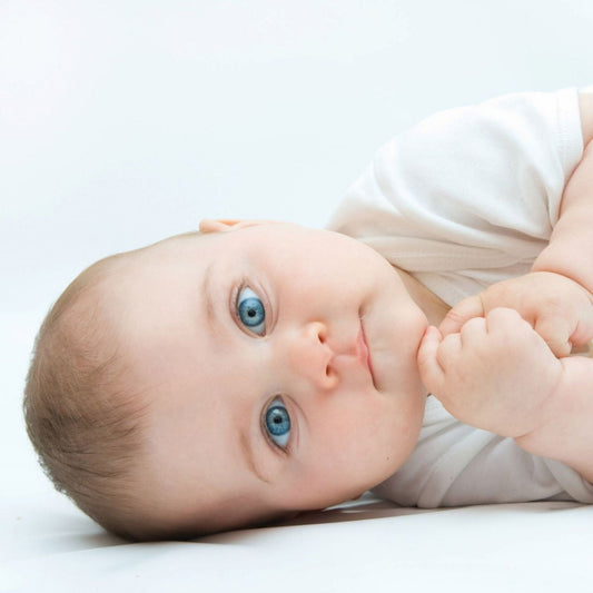 Bebek Nasıl Yapılır? (Gebelik Sürecine Bilimsel Bakış)