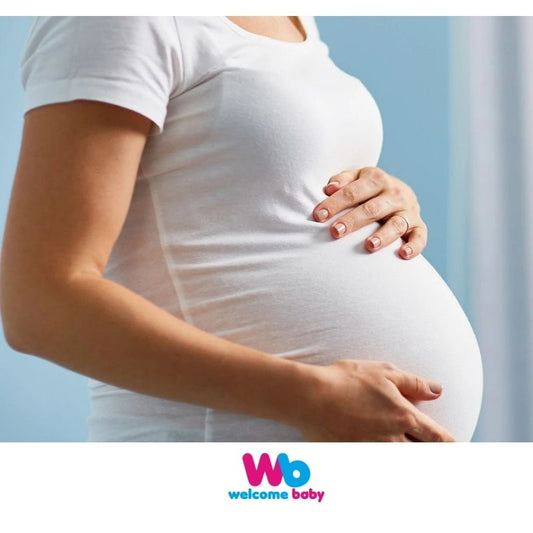 İlk Trimester Dönemi