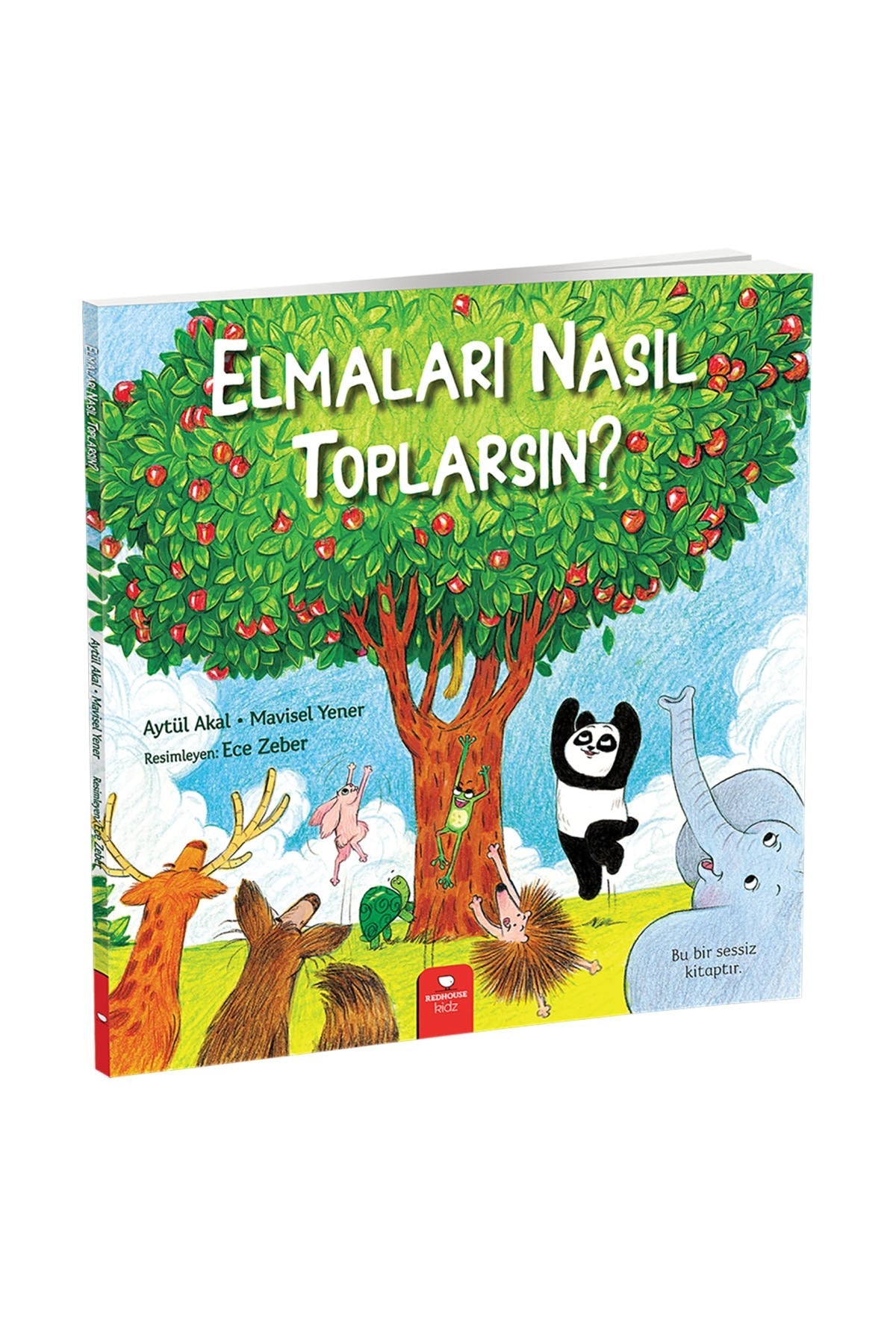 Yazısız Resimli Kitaplar