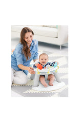 Skip Hop 2'si 1 Arada Aktivite Sandalyesi