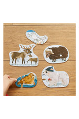 Moritoys A Day in Arctic: 6 in 1 Puzzle (2-3-4-6-8 Parça Yapboz) ile Kuzey Kutbunu Keşfet