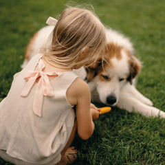 Antebies Boyunda Kurdele Detaylı Şortlu Set