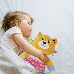 Baby Clementoni Yumuşak Kedicik