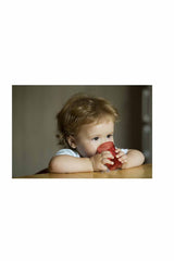 Babyjem 4'lü İlk Bardağım