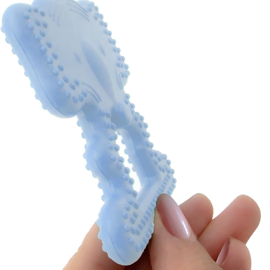 Babyjem Diş Kaşıyıcı Fil Mavi - Welcome Baby
