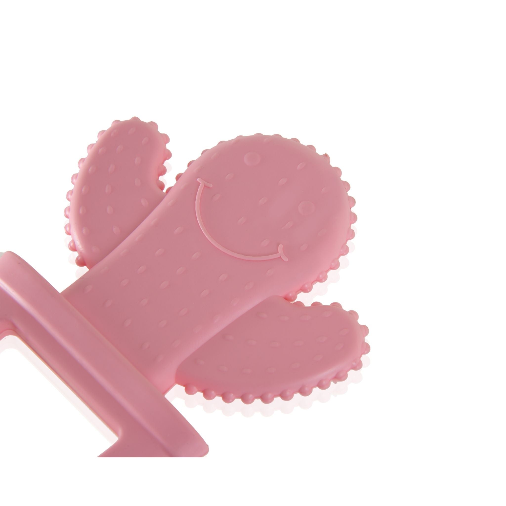 Babyjem Diş Kaşıyıcı Kaktüs Pembe - Welcome Baby