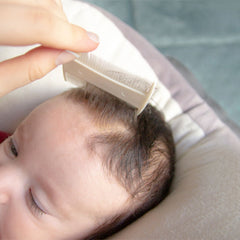 Babyjem Konak Tarağı