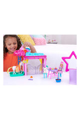 Barbie A Touch Of Magic Chelsea ve Pegasus Oyun Seti HNT67