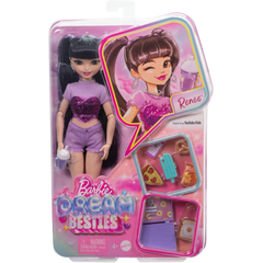 Barbie Dream Besties Renee Bebek ve Aksesuarları HYC24
