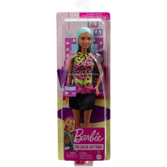 Barbie Kariyer Bebekleri Serisi HKT66