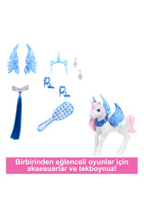 Barbie Mavi Saçlı Prenses Bebek HRR16