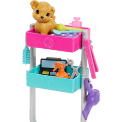 Barbie Stilist Bebekler Oyun Setleri HNK95