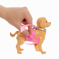 Barbie ve Köpekçiğin Yürüyüş Zamanı Oyun Seti JB46