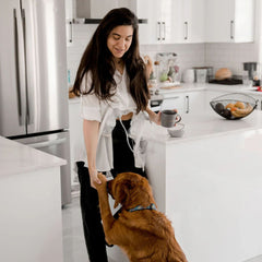 Bblüv Flöw Taşınabilir Çiftli Elektrikli Göğüs Pompası