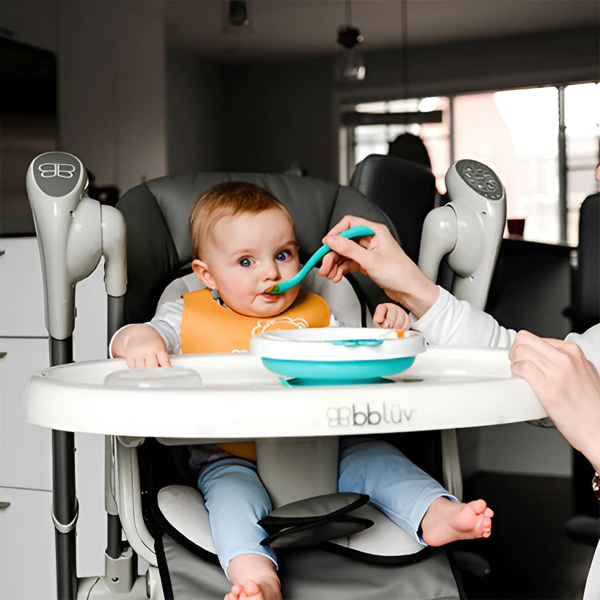 Bblüv Plato Sıcak Su Hazneli Mama Tabağı