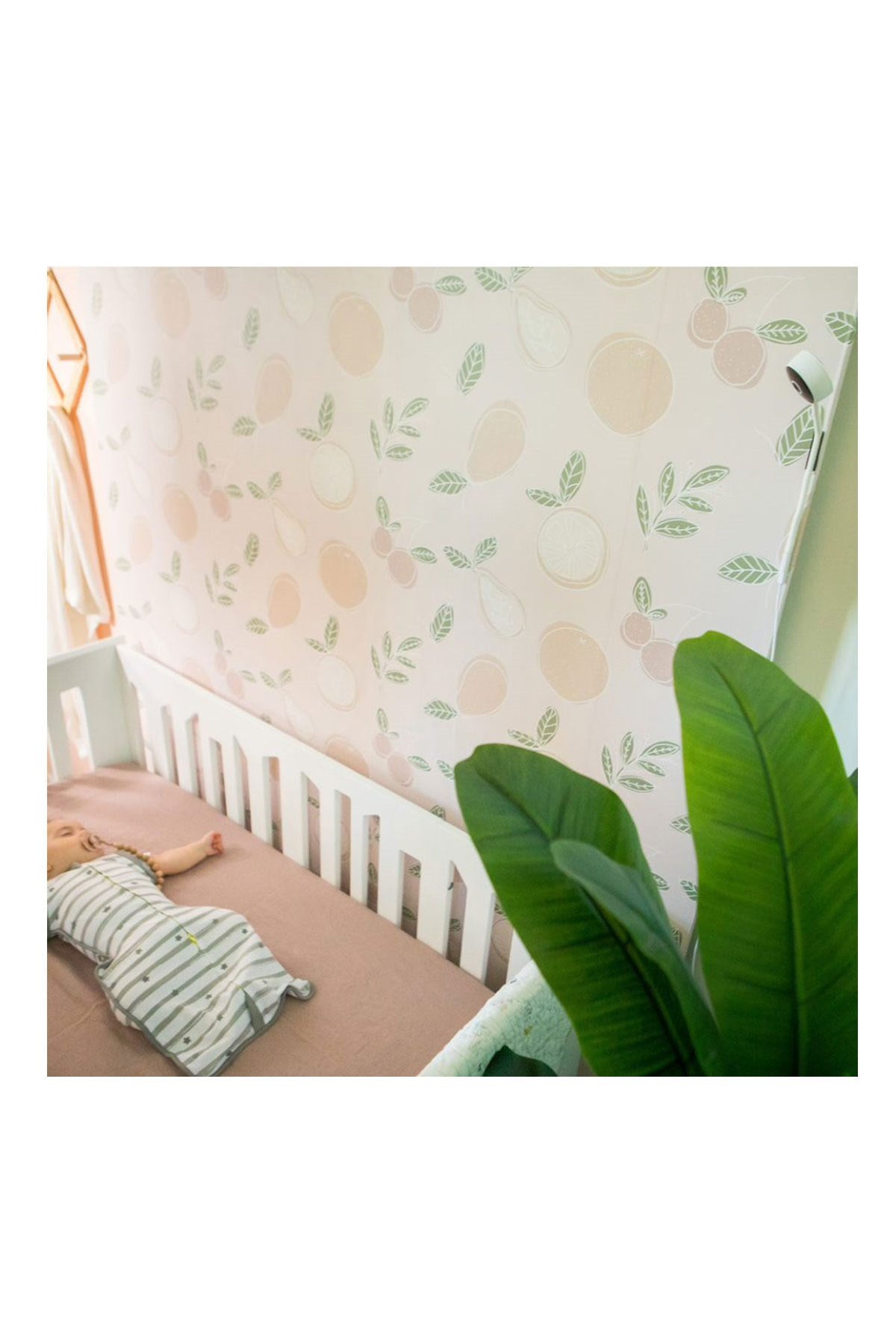 Bblüv Viyu Wifi Bebek Kamerası - Welcome Baby