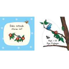 Beta Kids Ormanda Kim Saklanıyor Keçe Kapakçıklı Kitap