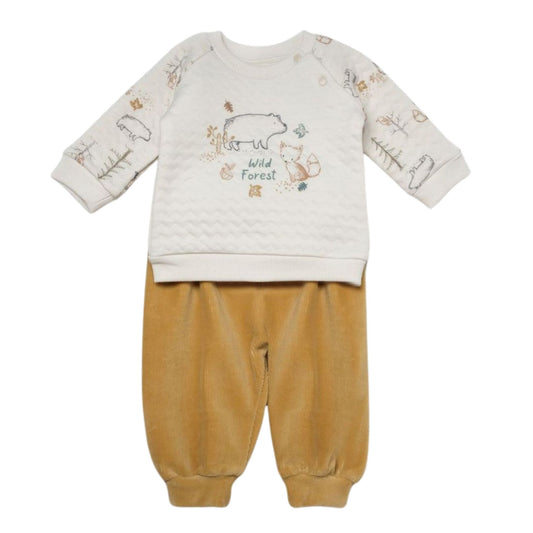 Bibaby Wıld Forest 2'li Takım