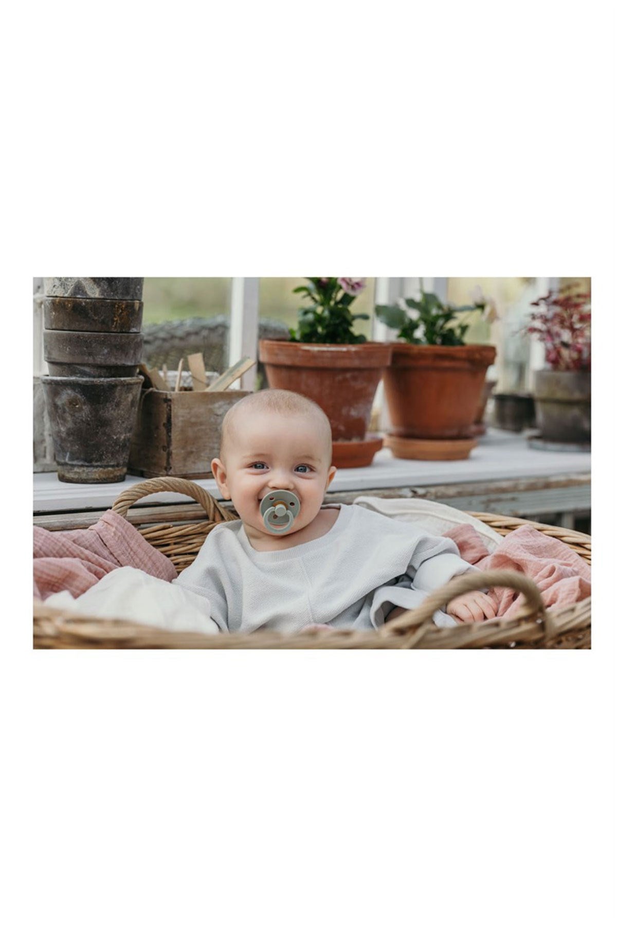 Bibs Colour 2'li Kauçuk Emzik Dark Oak / Blush No:1 - Welcome Baby