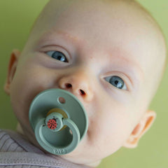 Bibs Studio Colour Ladybug Emzik Sage No 1