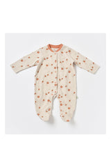 Biorganic Summer Fruit 10'lu Set