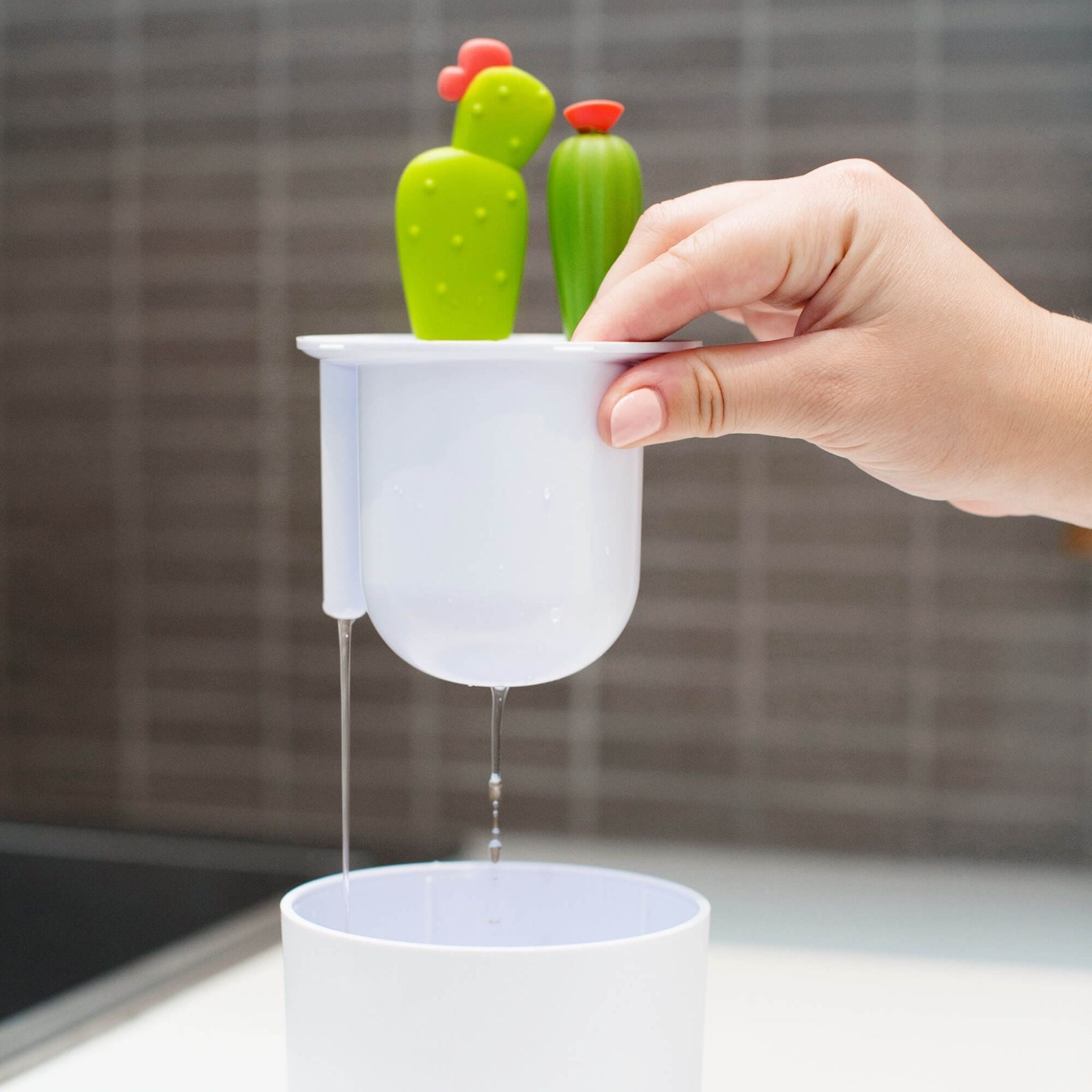 Boon Cacti 4’lü Biberon Fırça Seti - Welcome Baby