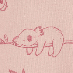 Carter's Kız Bebek Uzun Kollu Body Set 4'lü Paket