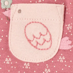 Carter's Kız Bebek Uzun Kollu Body Set 4'lü Paket