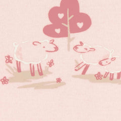 Carter's Kız Bebek Uzun Kollu Body Set 4'lü Paket