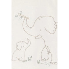 Carter's Layette Erkek Bebek Uzun Kollu Tulum Set 2'li Paket