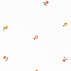 Carter's Layette Kız Bebek 5'li Body Set