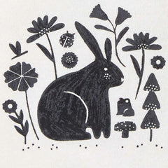 Carter's Layette Kız Bebek 5'li Body Set