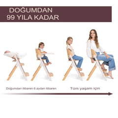 Chicco Meraviglia Mama Sandalyesi Fossil