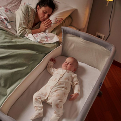Chicco Next2Me Dream Sage Anne Yanı Gri