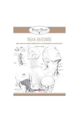 Çizim Sanatı 6 - İnsan Anatomisi