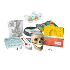 Clementoni Bilim Ve Oyun Çılgın Anatomi