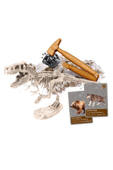 Clementoni Bilim Ve Oyun Dünyadaki Yaşamın Tarihi