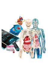Clementoni Bilim ve Oyun Süper Anatomi
