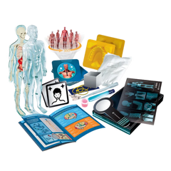 Clementoni Bilim ve Oyun Süper Anatomi