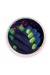 Clementoni Bilim ve Oyun Tırnak Laboratuvarı