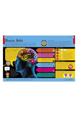 DK Yayıncılık All About Your Brain