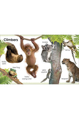 DK Yayıncılık My First Animals