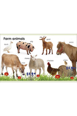 DK Yayıncılık My First Animals