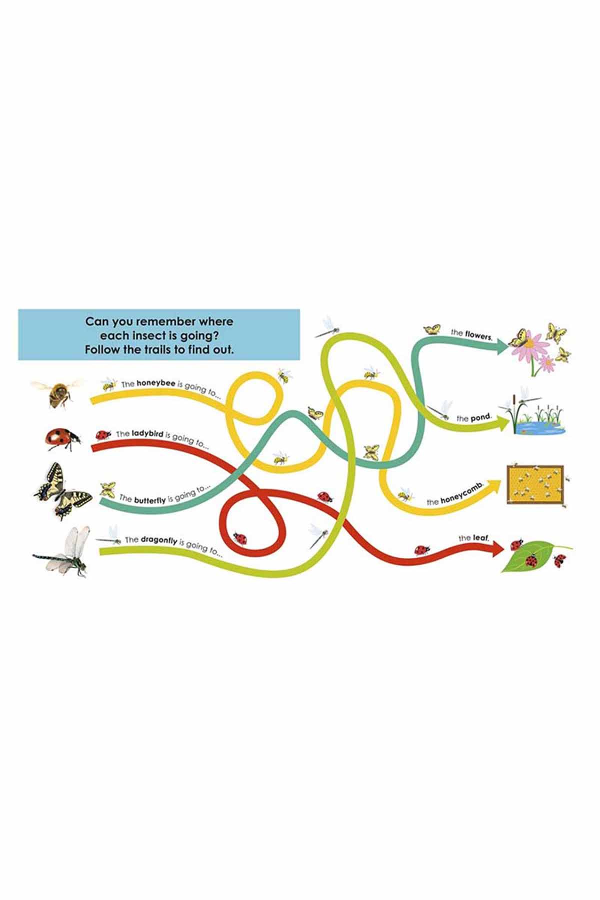 DK Yayıncılık Follow the Trail Minibeasts - Welcome Baby