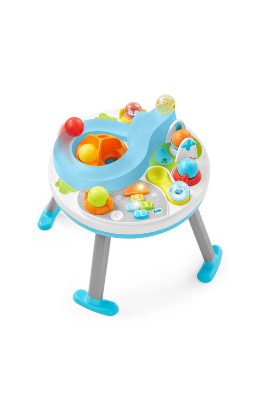 Skip Hop E&M Aktivite Masası