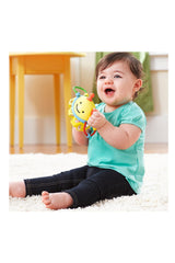 Skip Hop E&M Aktivite Topu Arı