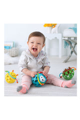 Skip Hop E&M Aktivite Topu Arı