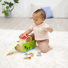 Eichhorn Ahşap Nuh’un Gemisi Şekil Eşleştirme Oyunu