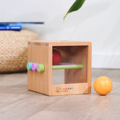 Eichhorn Montessori Ahşap Top Atma Kutusu