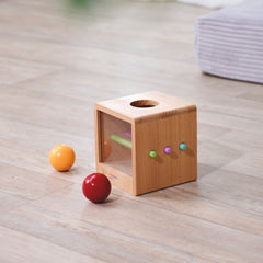 Eichhorn Montessori Ahşap Top Atma Kutusu